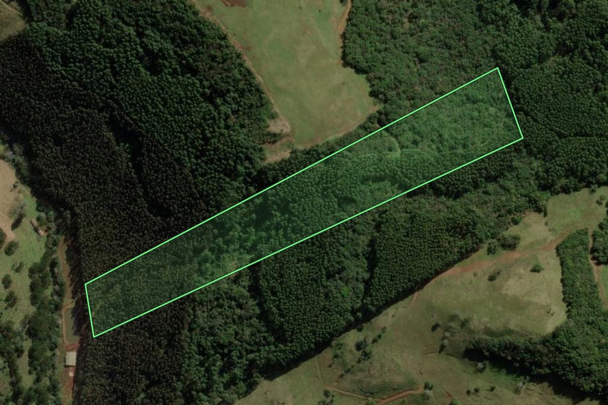 Imagem de satélite do imóvel rural em Herval d'Oeste (SC), com o contorno declarado no CAR desenhado por cima.