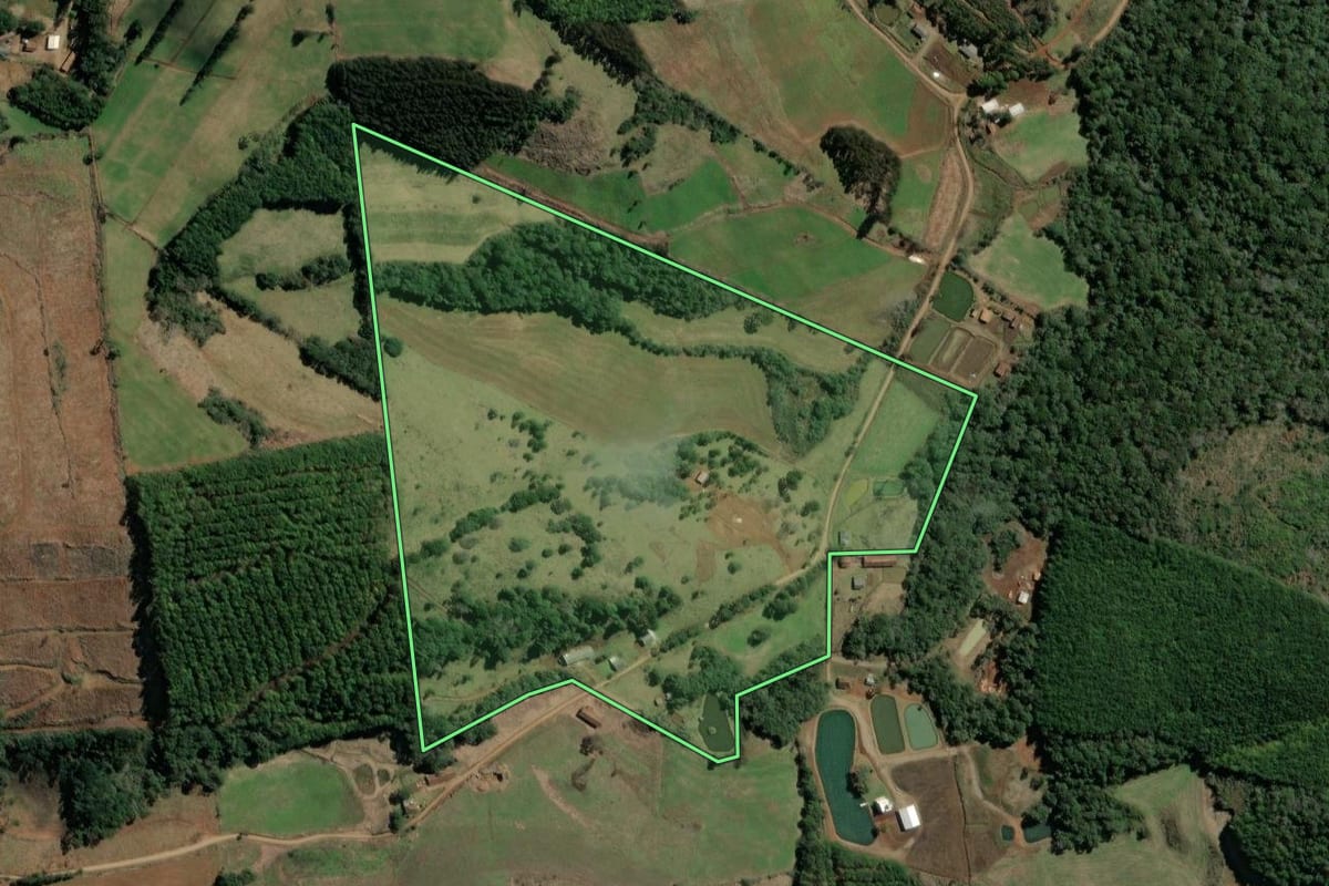Imagem de satélite do imóvel rural em Ibiam (SC), com o contorno declarado no CAR desenhado por cima.