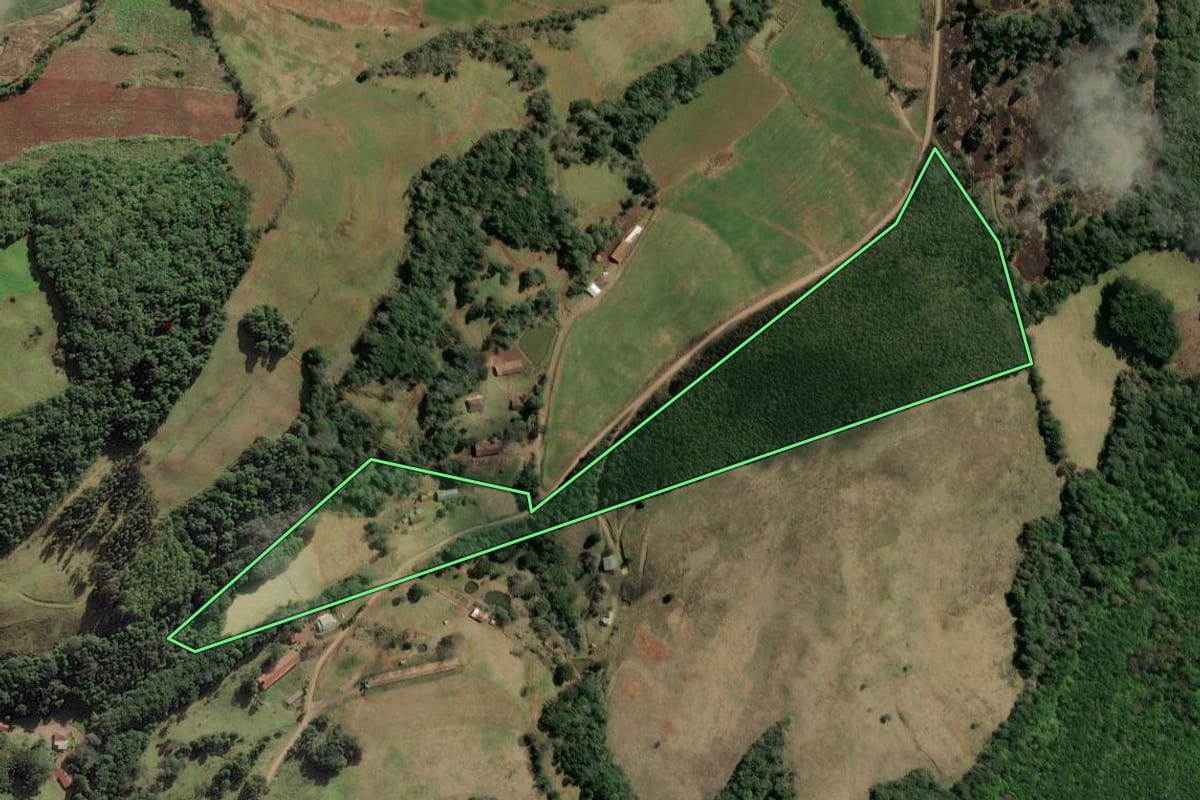 Imagem de satélite do imóvel rural em Ibiam (SC), com o contorno declarado no CAR desenhado por cima.