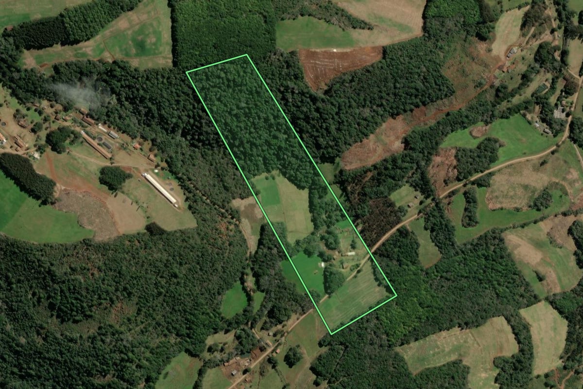 Imagem de satélite do imóvel rural em Ibiam (SC), com o contorno declarado no CAR desenhado por cima.