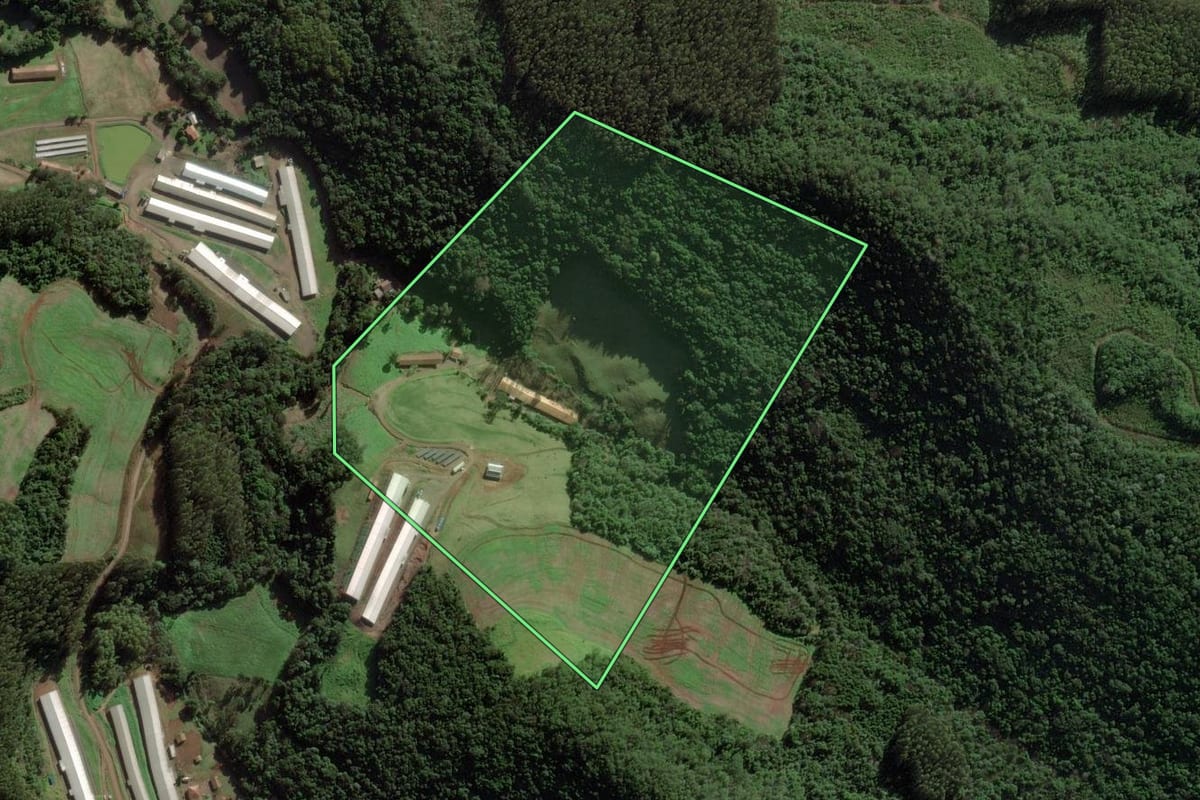 Imagem de satélite do imóvel rural em Ibiam (SC), com o contorno declarado no CAR desenhado por cima.