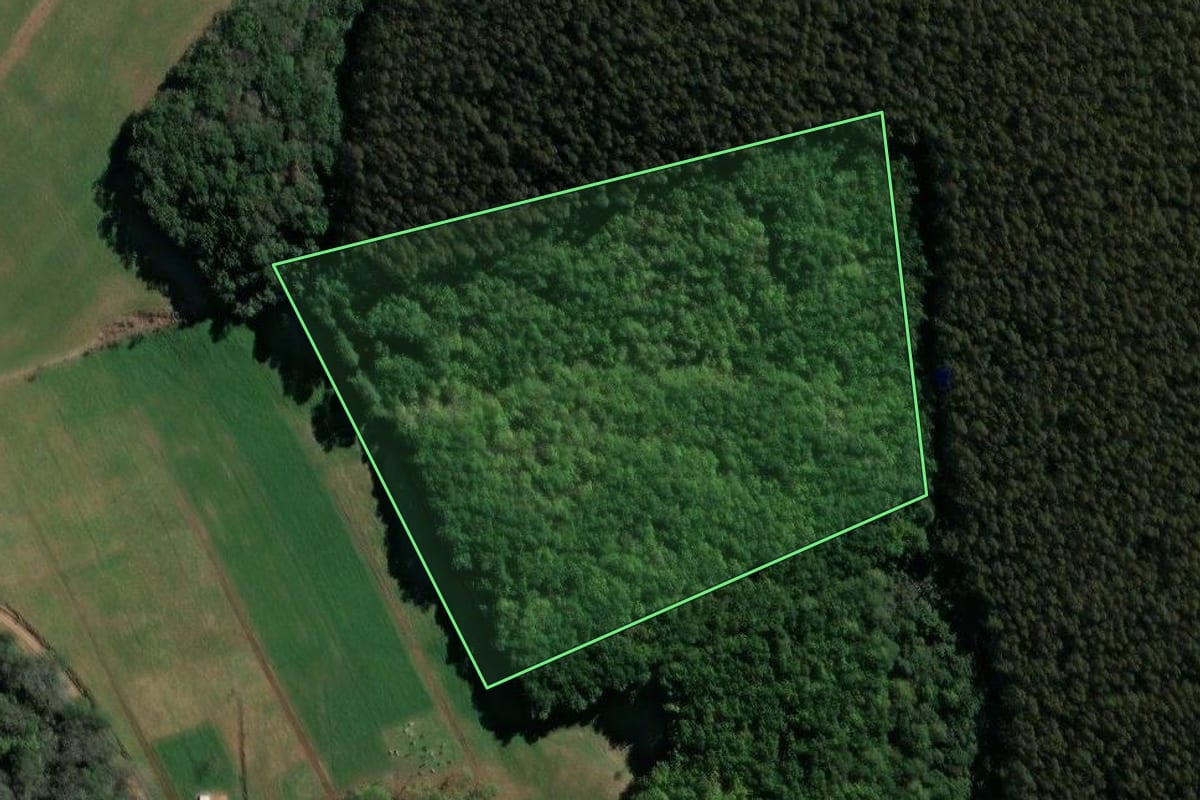 Imagem de satélite do imóvel rural em Ibiam (SC), com o contorno declarado no CAR desenhado por cima.