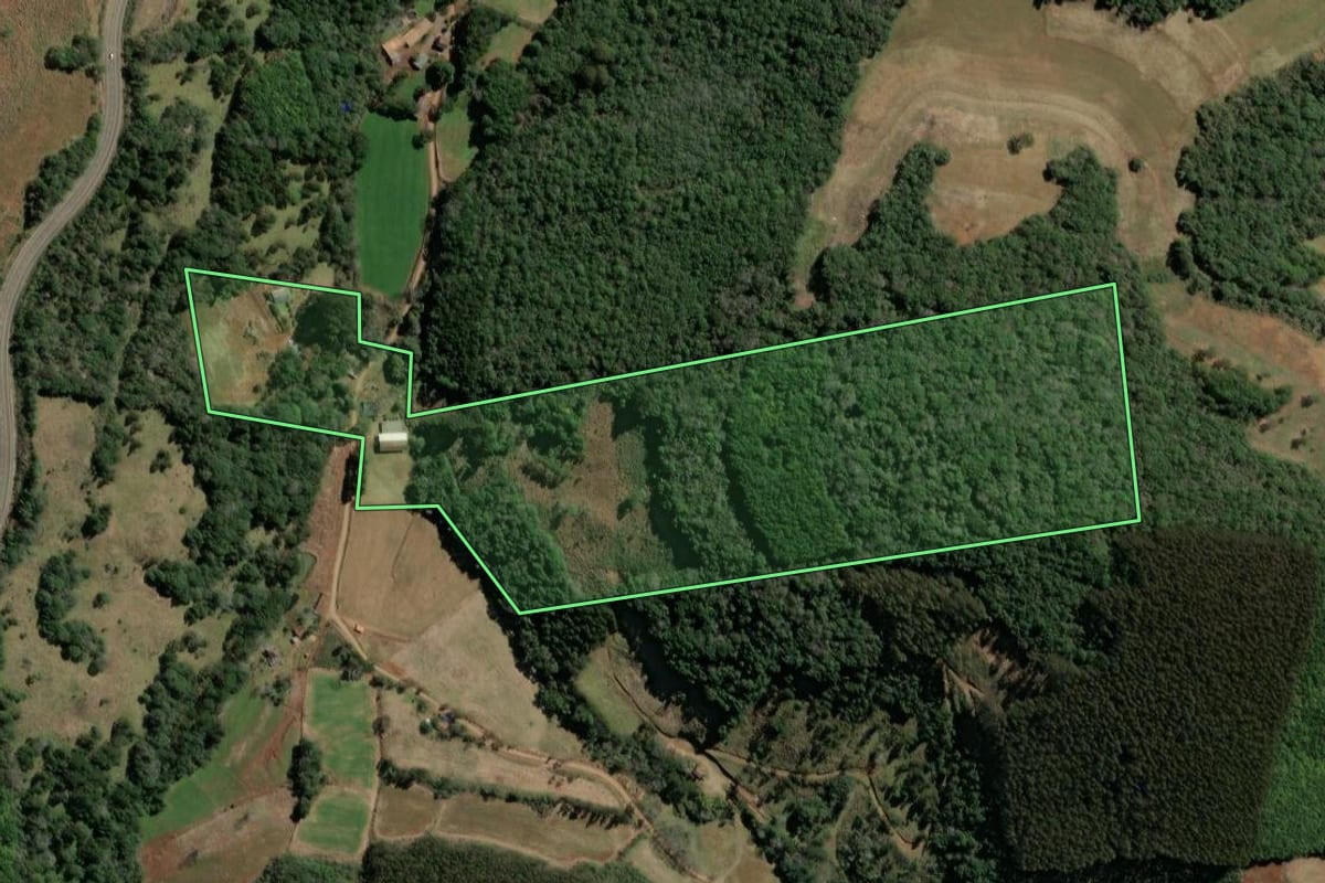 Imagem de satélite do imóvel rural em Ibiam (SC), com o contorno declarado no CAR desenhado por cima.
