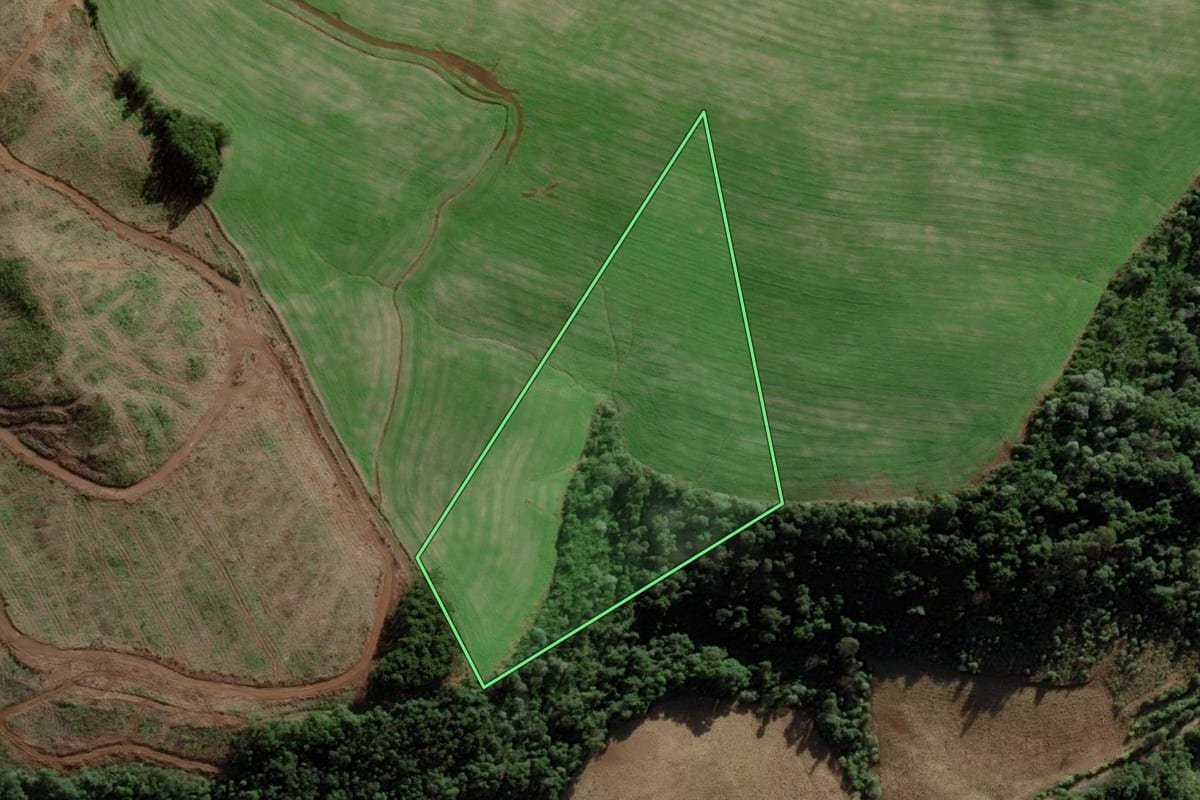Imagem de satélite do imóvel rural em Ibiam (SC), com o contorno declarado no CAR desenhado por cima.
