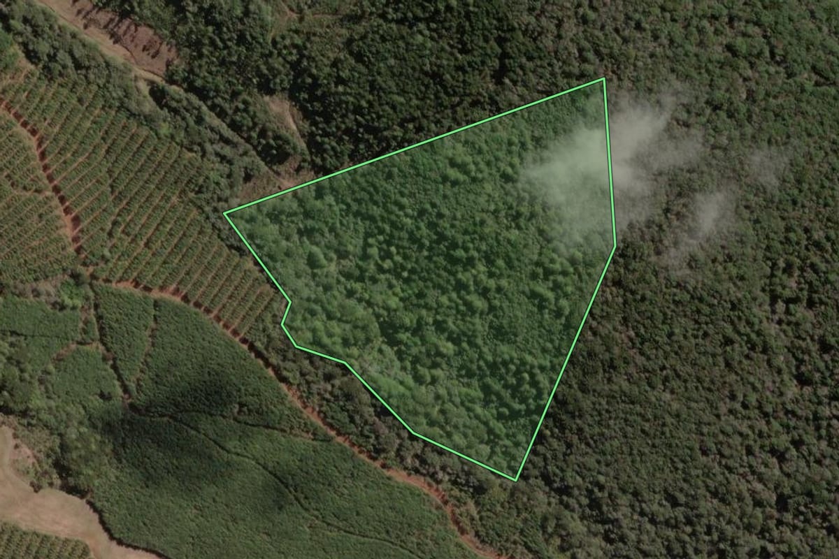 Imagem de satélite do imóvel rural em Ibiam (SC), com o contorno declarado no CAR desenhado por cima.