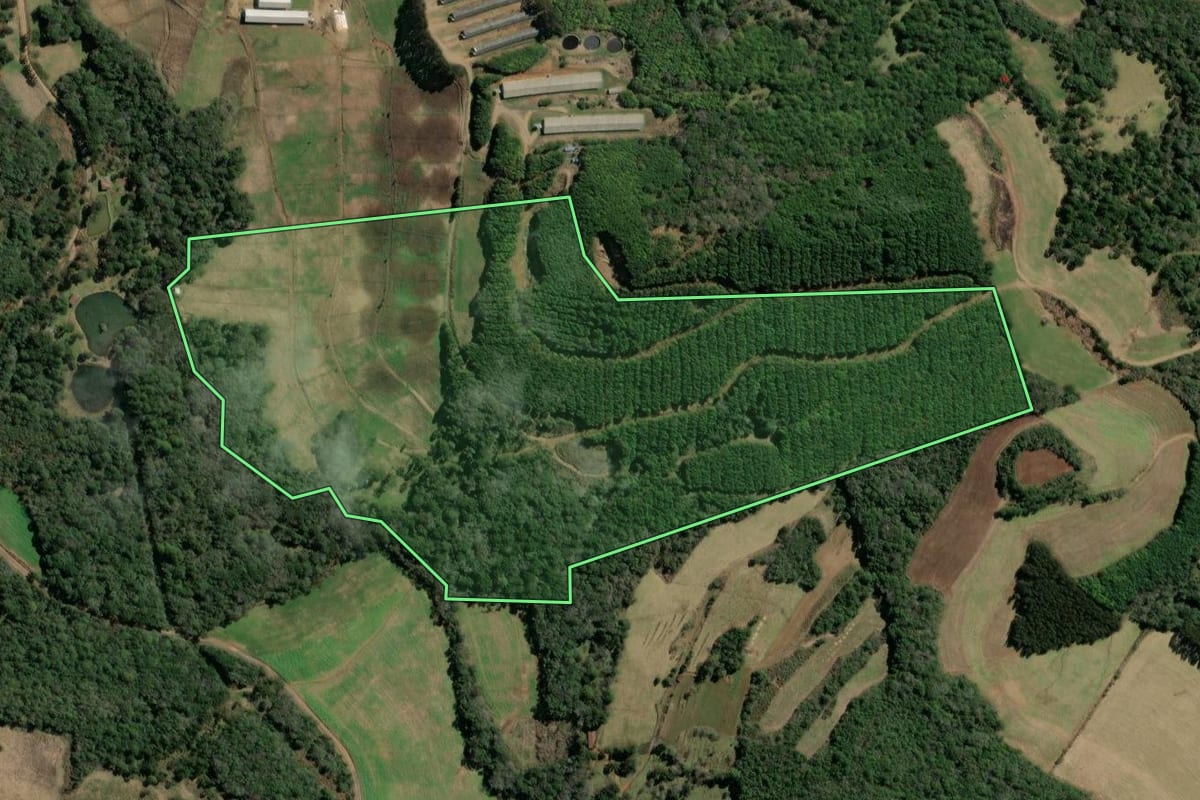 Imagem de satélite do imóvel rural em Ibiam (SC), com o contorno declarado no CAR desenhado por cima.