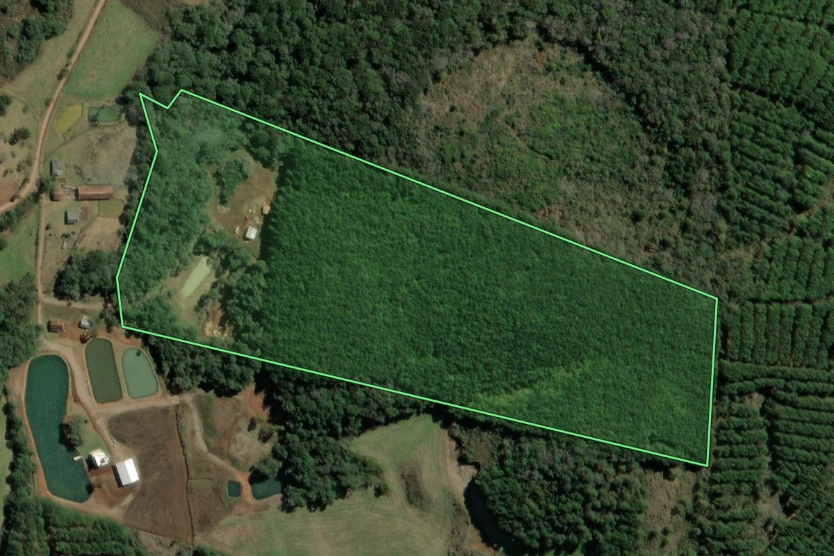 Imagem de satélite do imóvel rural em Ibiam (SC), com o contorno declarado no CAR desenhado por cima.
