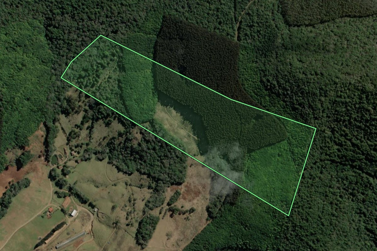 Imagem de satélite do imóvel rural em Ibiam (SC), com o contorno declarado no CAR desenhado por cima.