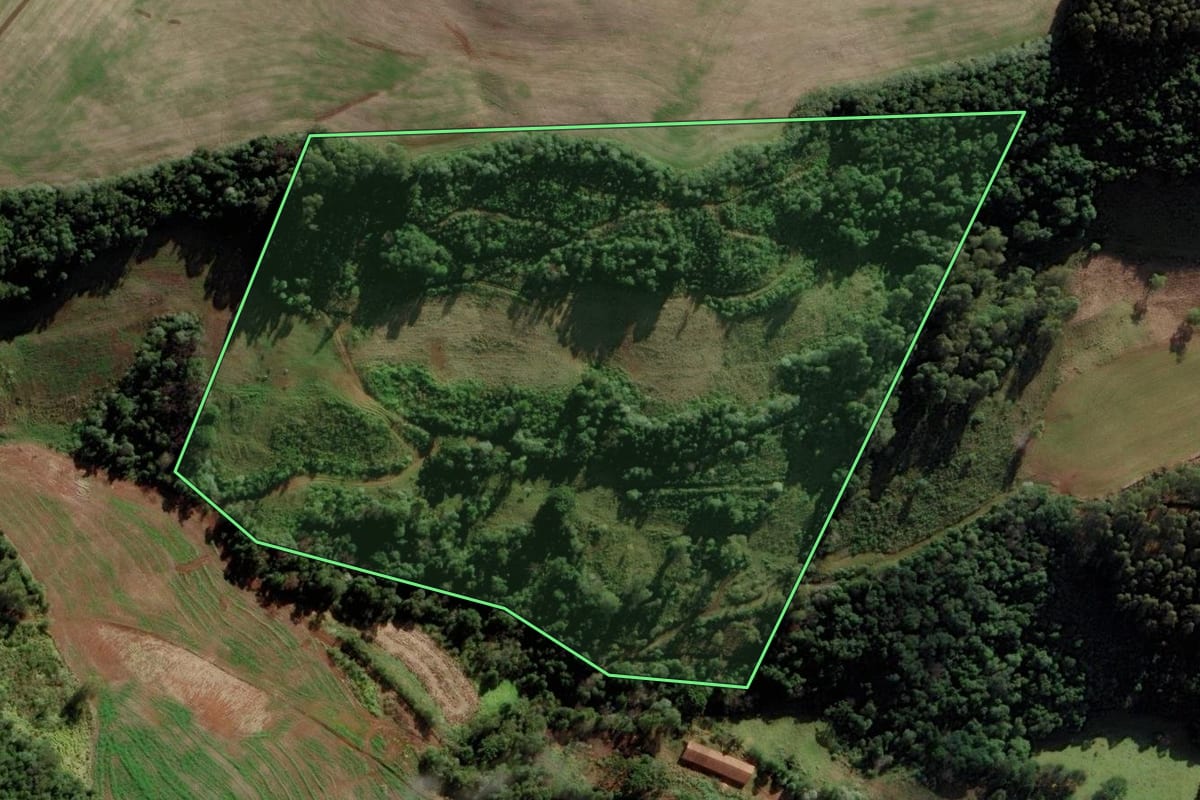 Imagem de satélite do imóvel rural em Ibiam (SC), com o contorno declarado no CAR desenhado por cima.