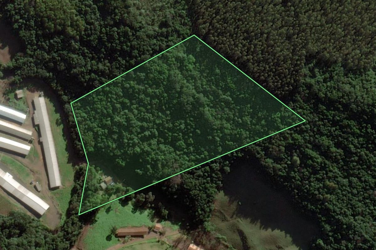 Imagem de satélite do imóvel rural em Ibiam (SC), com o contorno declarado no CAR desenhado por cima.