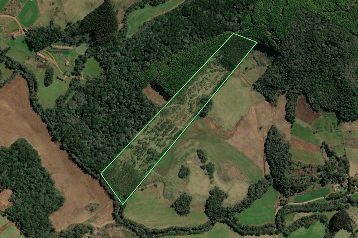 Imagem de satélite do imóvel rural em Ibiam (SC), com o contorno declarado no CAR desenhado por cima.