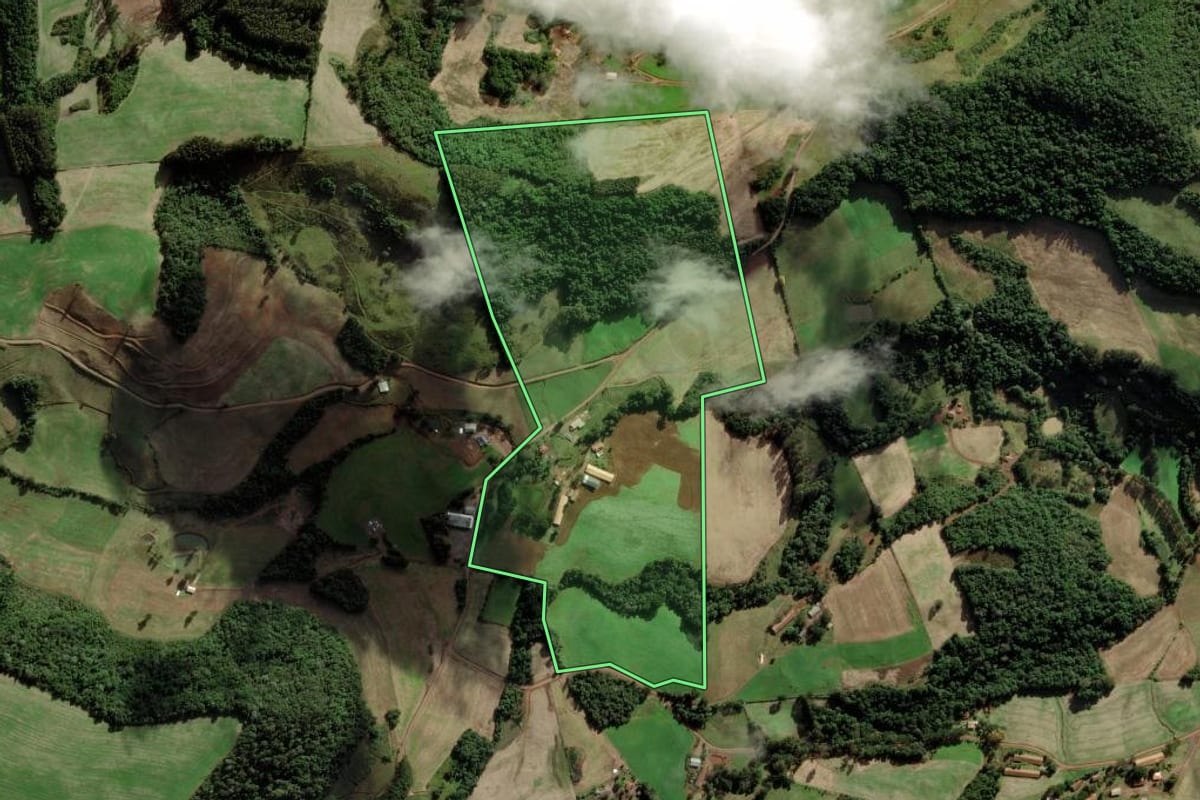 Imagem de satélite do imóvel rural em Ibiam (SC), com o contorno declarado no CAR desenhado por cima.