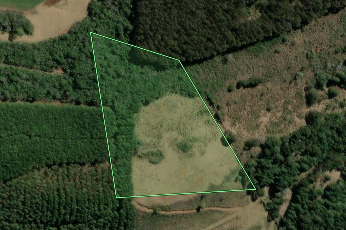 Imagem de satélite do imóvel rural em Ibiam (SC), com o contorno declarado no CAR desenhado por cima.