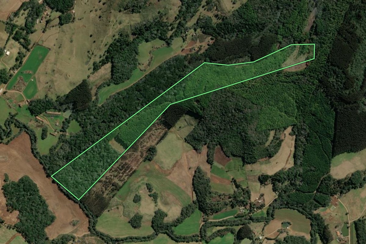 Imagem de satélite do imóvel rural em Ibiam (SC), com o contorno declarado no CAR desenhado por cima.