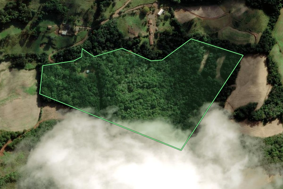Imagem de satélite do imóvel rural em Ibiam (SC), com o contorno declarado no CAR desenhado por cima.