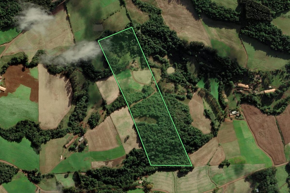 Imagem de satélite do imóvel rural em Ibiam (SC), com o contorno declarado no CAR desenhado por cima.