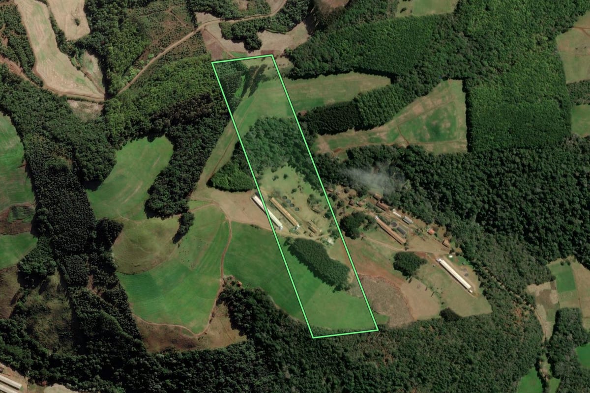 Imagem de satélite do imóvel rural em Ibiam (SC), com o contorno declarado no CAR desenhado por cima.