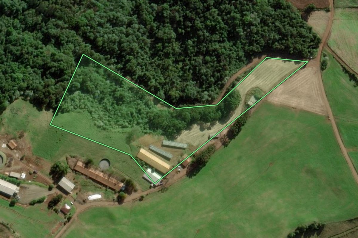 Imagem de satélite do imóvel rural em Ibiam (SC), com o contorno declarado no CAR desenhado por cima.