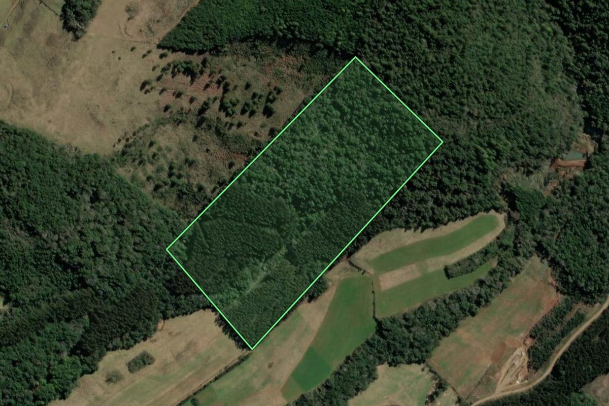 Imagem de satélite do imóvel rural em Ibiam (SC), com o contorno declarado no CAR desenhado por cima.