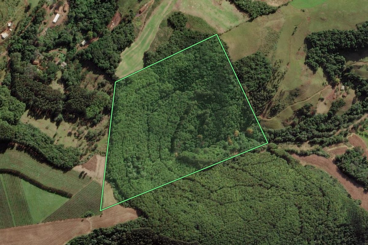 Imagem de satélite do imóvel rural em Ibiam (SC), com o contorno declarado no CAR desenhado por cima.