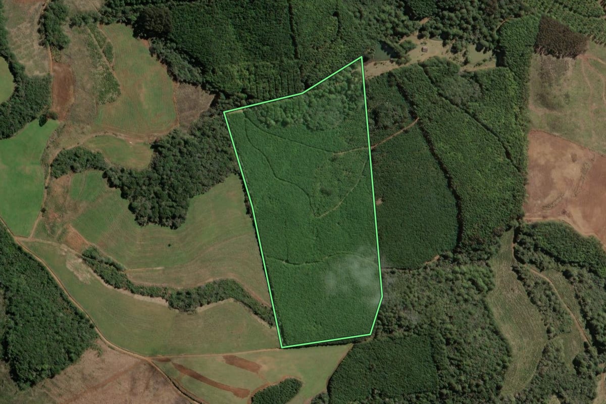 Imagem de satélite do imóvel rural em Ibiam (SC), com o contorno declarado no CAR desenhado por cima.