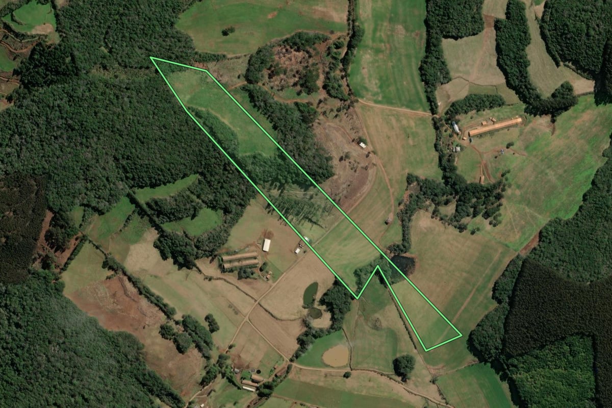 Imagem de satélite do imóvel rural em Ibiam (SC), com o contorno declarado no CAR desenhado por cima.