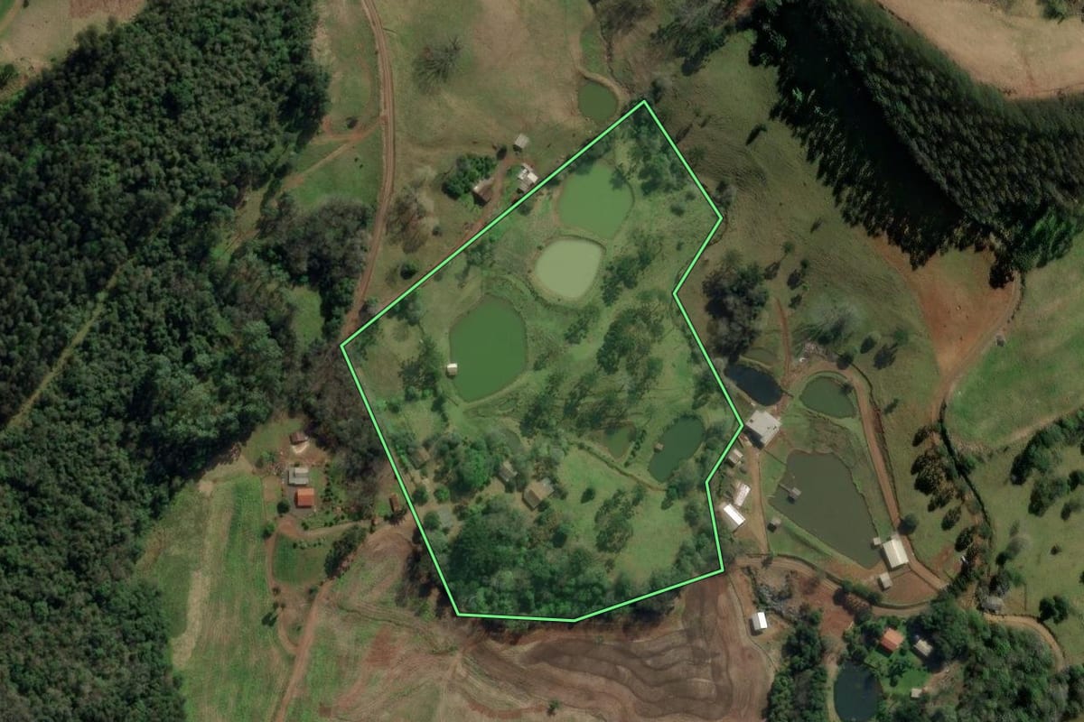 Imagem de satélite do imóvel rural em Ibicaré (SC), com o contorno declarado no CAR desenhado por cima.