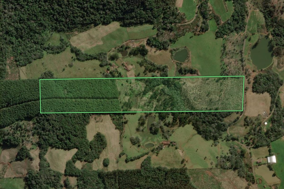 Imagem de satélite do imóvel rural em Ibicaré (SC), com o contorno declarado no CAR desenhado por cima.