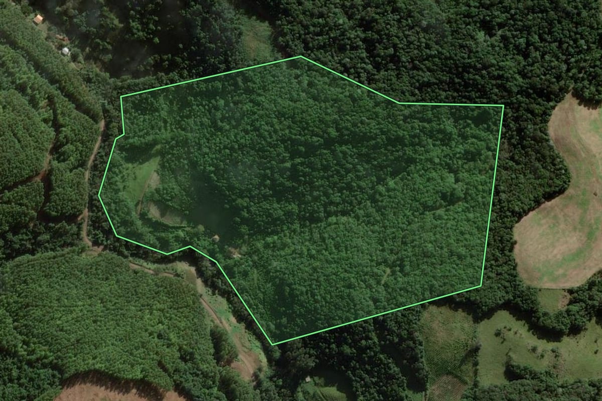 Imagem de satélite do imóvel rural em Ibicaré (SC), com o contorno declarado no CAR desenhado por cima.