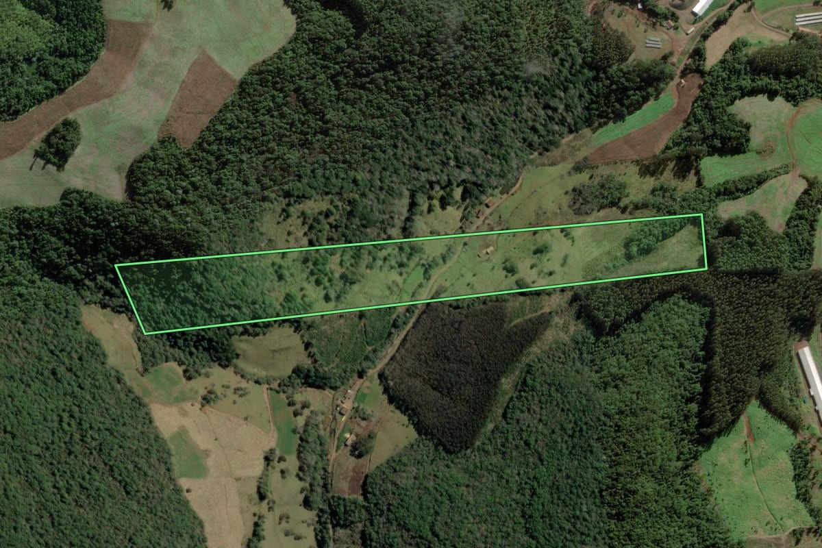 Imagem de satélite do imóvel rural em Ibicaré (SC), com o contorno declarado no CAR desenhado por cima.