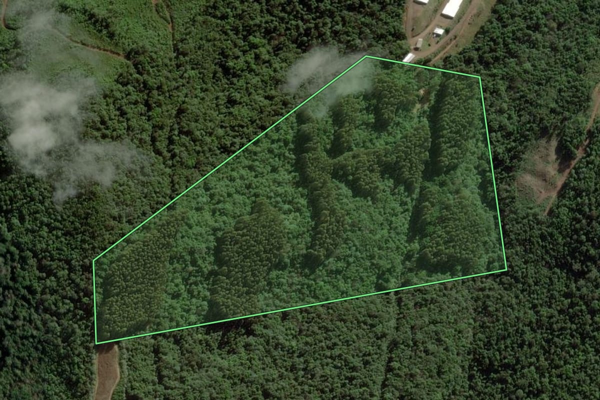 Imagem de satélite do imóvel rural em Ibicaré (SC), com o contorno declarado no CAR desenhado por cima.