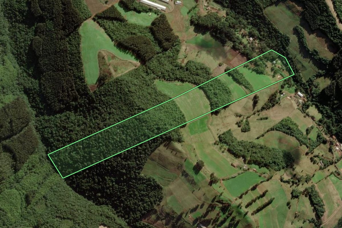 Imagem de satélite do imóvel rural em Ibicaré (SC), com o contorno declarado no CAR desenhado por cima.