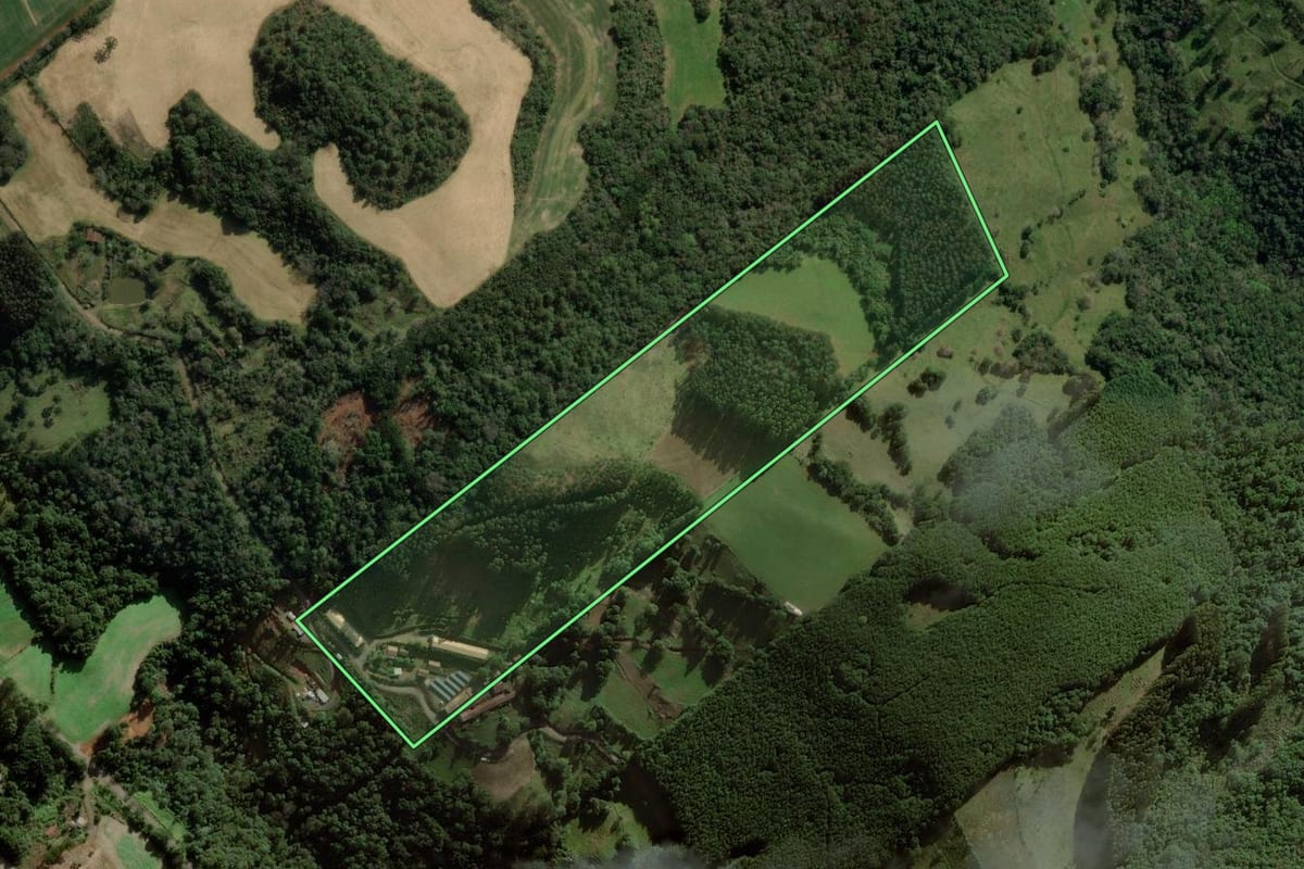 Imagem de satélite do imóvel rural em Ibicaré (SC), com o contorno declarado no CAR desenhado por cima.