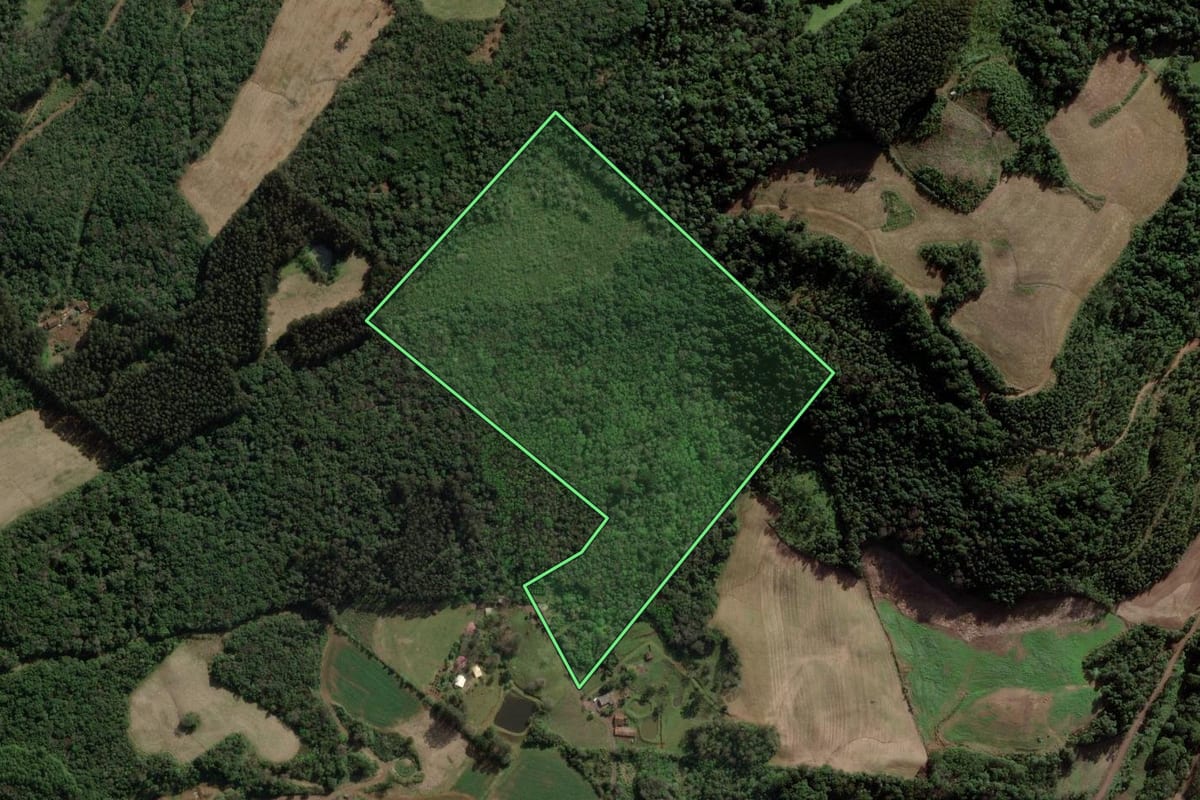 Imagem de satélite do imóvel rural em Ibicaré (SC), com o contorno declarado no CAR desenhado por cima.