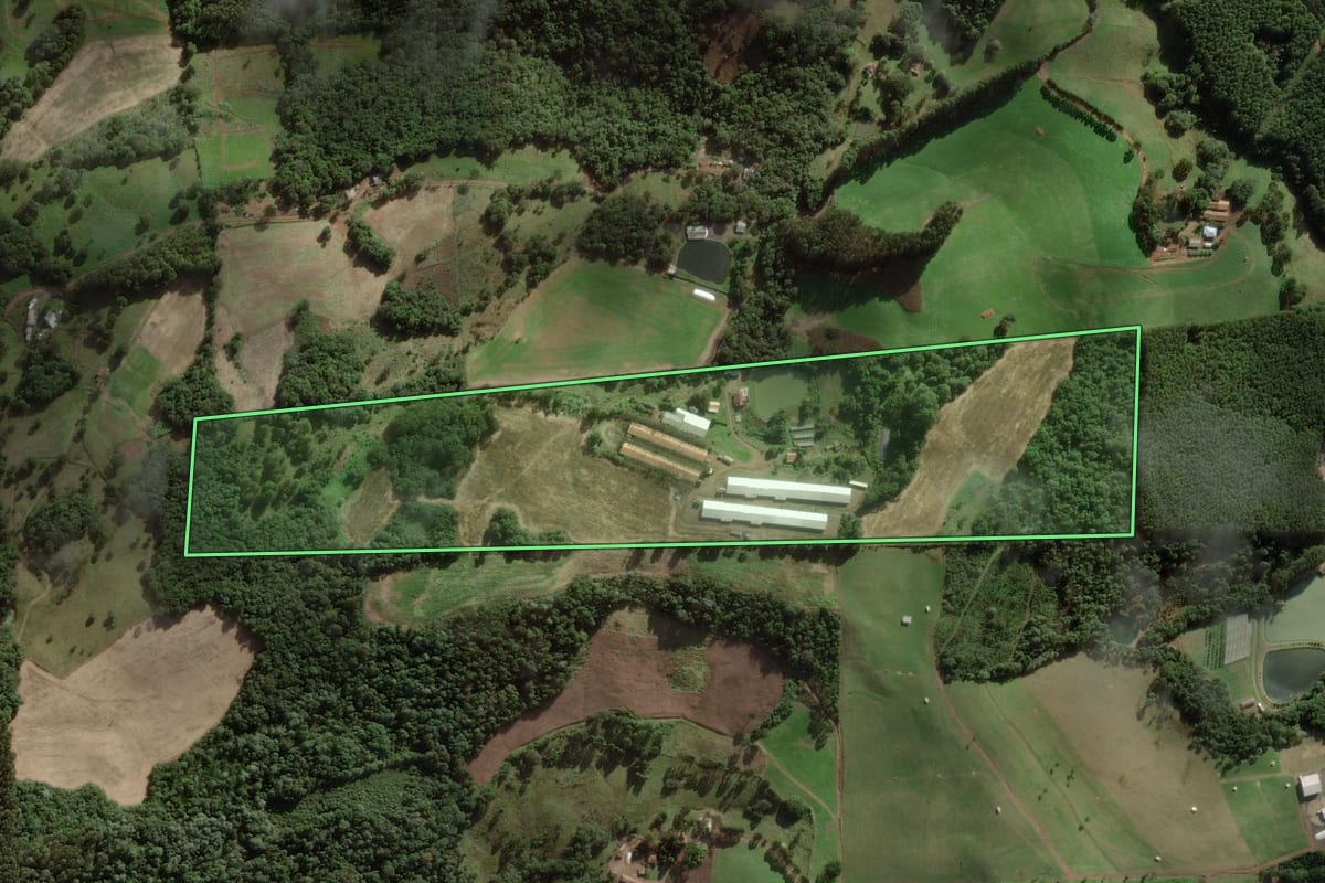 Imagem de satélite do imóvel rural em Ibicaré (SC), com o contorno declarado no CAR desenhado por cima.