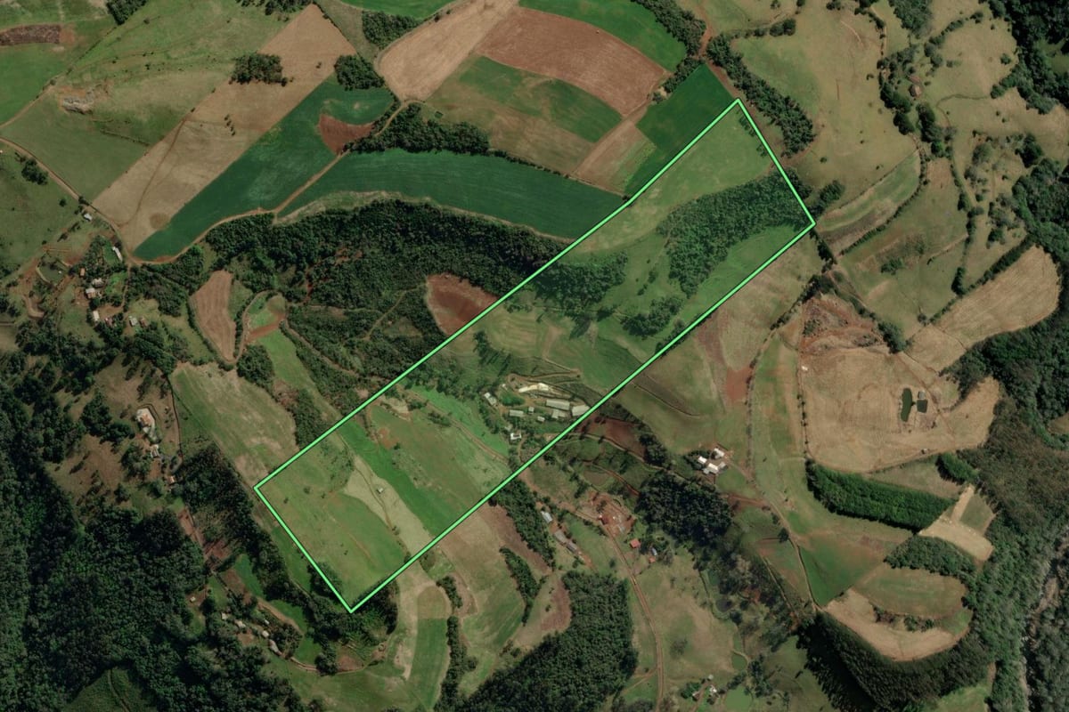 Imagem de satélite do imóvel rural em Ibicaré (SC), com o contorno declarado no CAR desenhado por cima.
