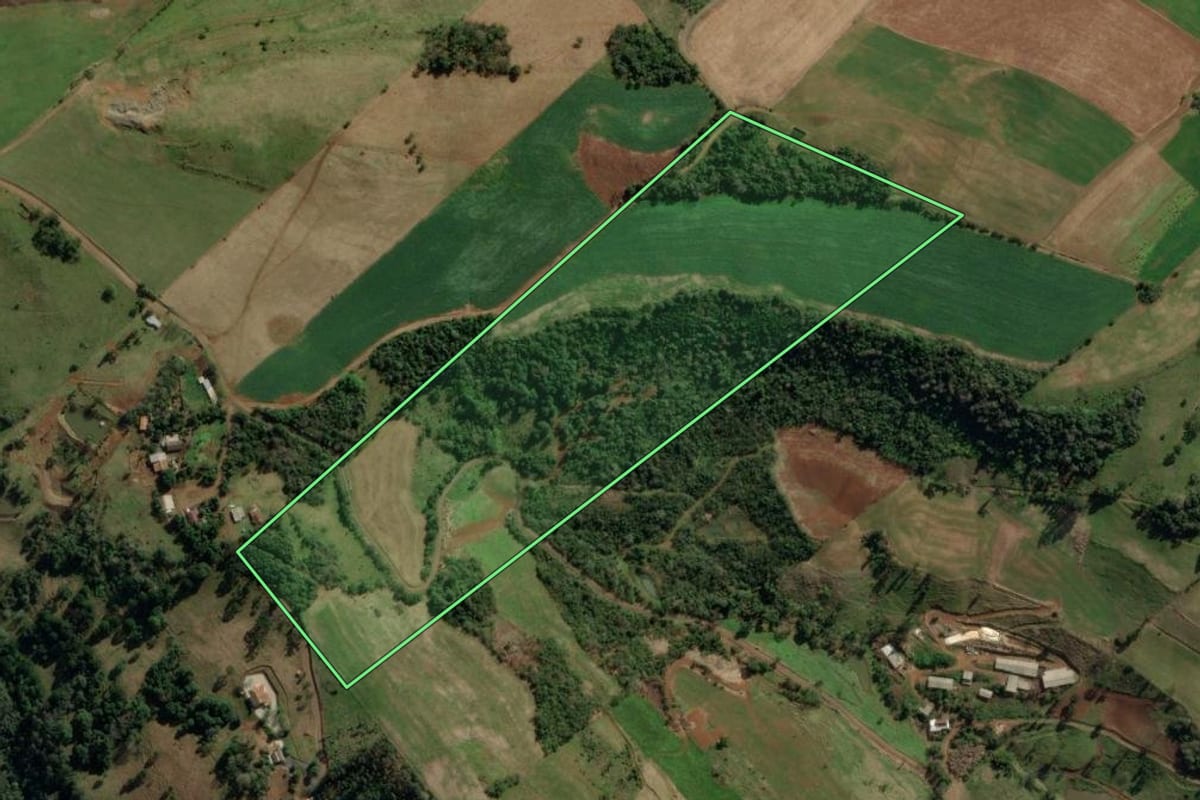 Imagem de satélite do imóvel rural em Ibicaré (SC), com o contorno declarado no CAR desenhado por cima.
