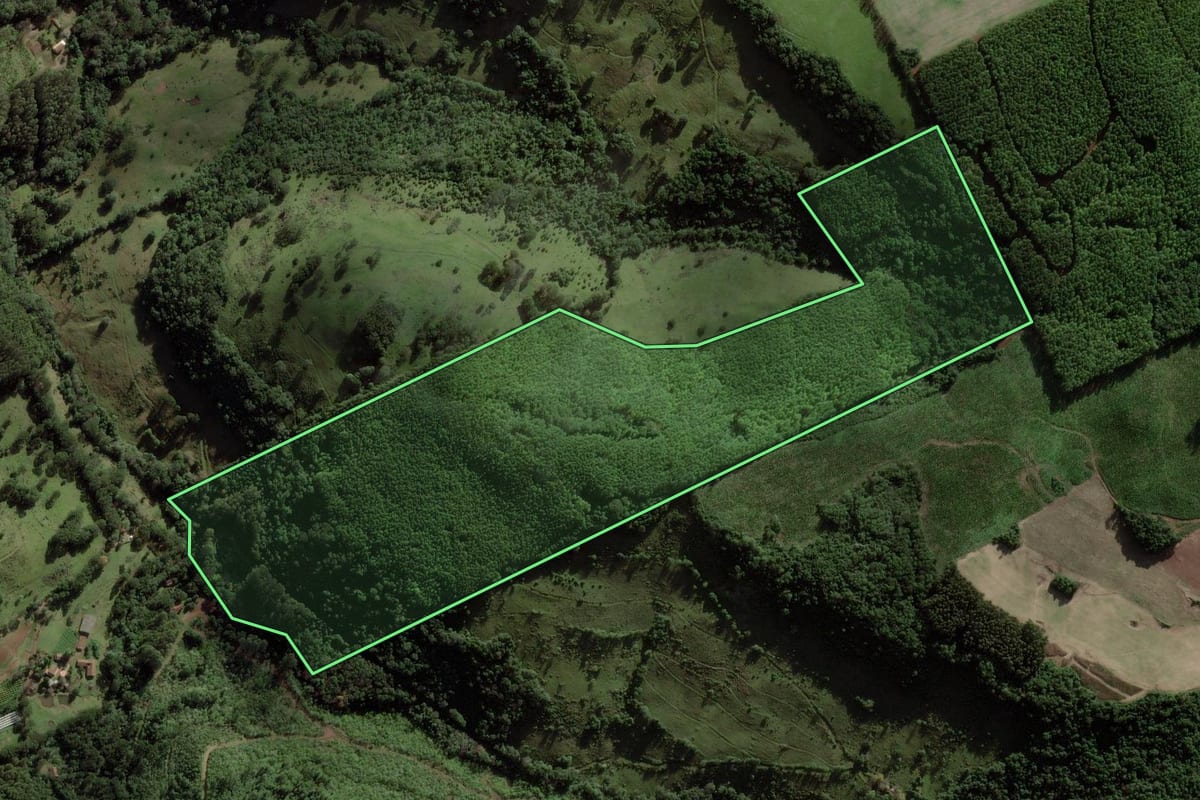 Imagem de satélite do imóvel rural em Ibicaré (SC), com o contorno declarado no CAR desenhado por cima.