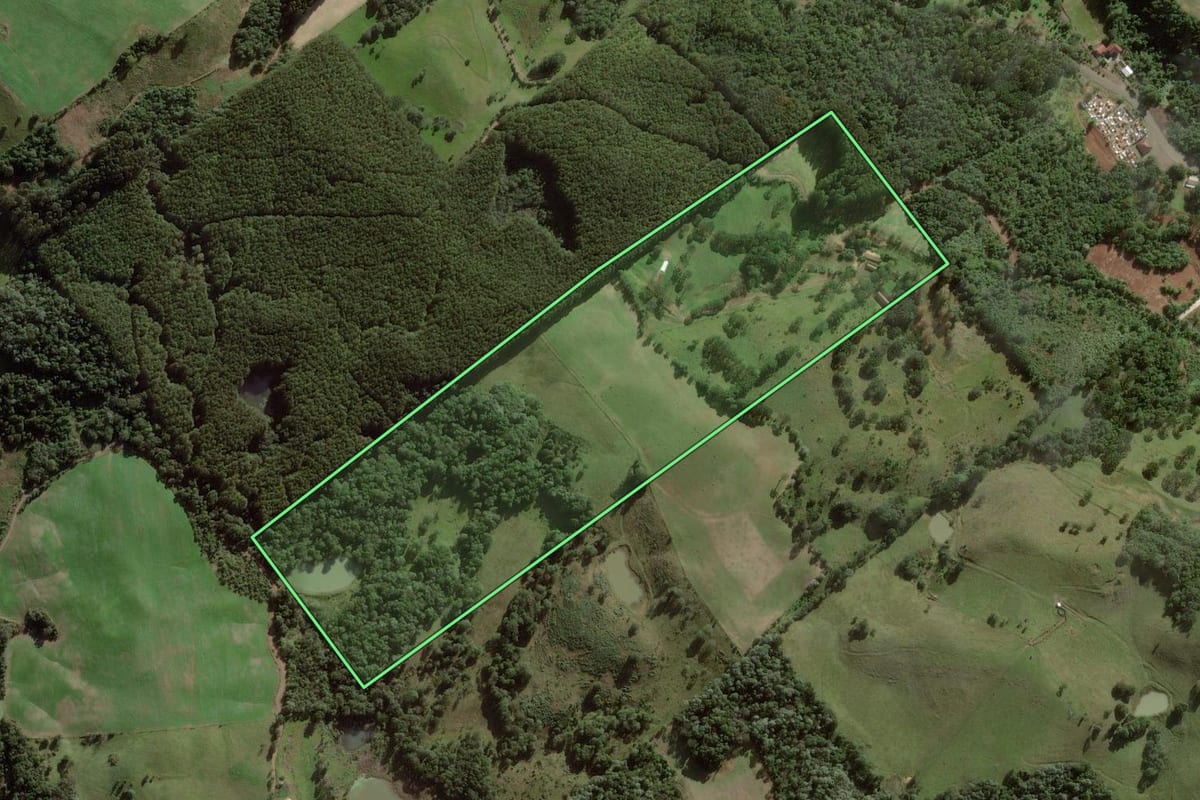 Imagem de satélite do imóvel rural em Ibicaré (SC), com o contorno declarado no CAR desenhado por cima.