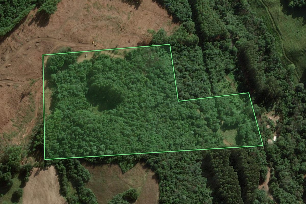 Imagem de satélite do imóvel rural em Ibicaré (SC), com o contorno declarado no CAR desenhado por cima.