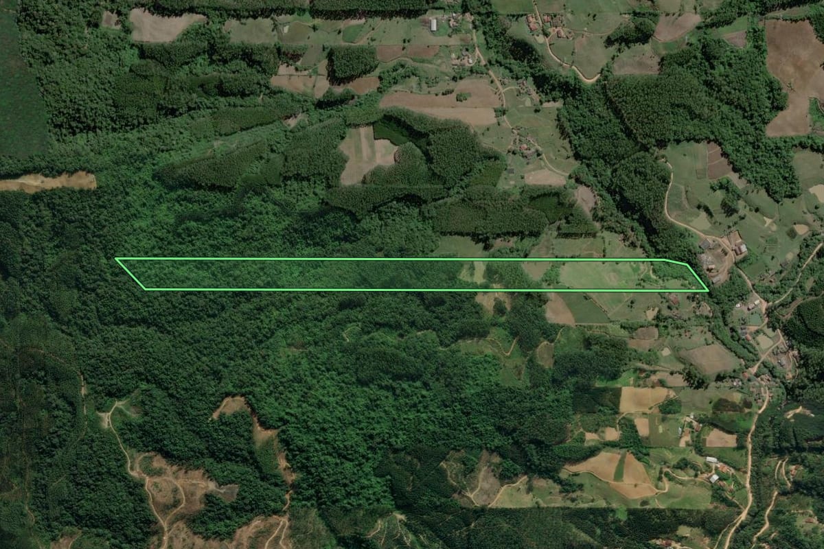 Imagem de satélite do imóvel rural em Ibirama (SC), com o contorno declarado no CAR desenhado por cima.