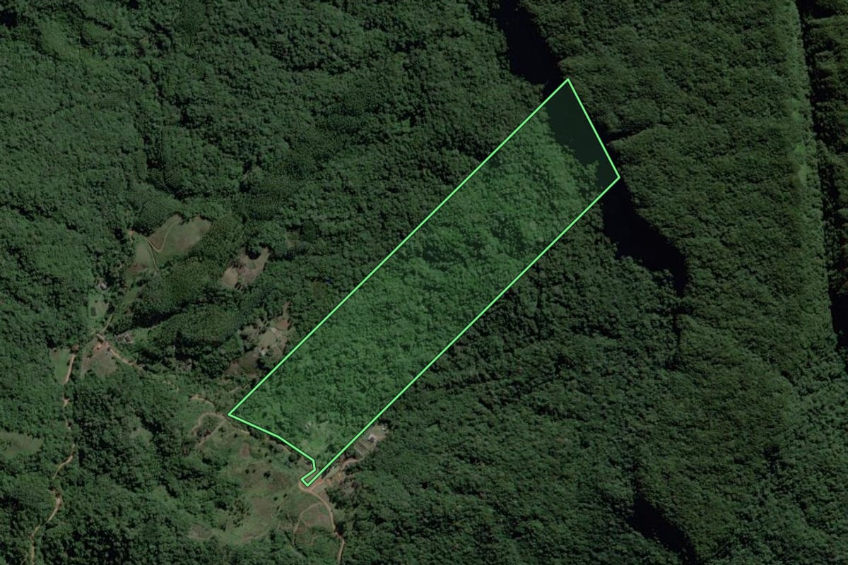 Imagem de satélite do imóvel rural em Ibirama (SC), com o contorno declarado no CAR desenhado por cima.