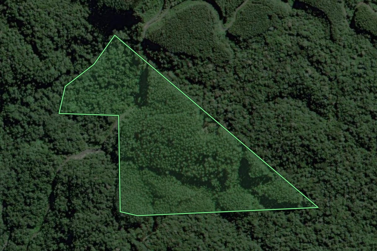 Imagem de satélite do imóvel rural em Ibirama (SC), com o contorno declarado no CAR desenhado por cima.