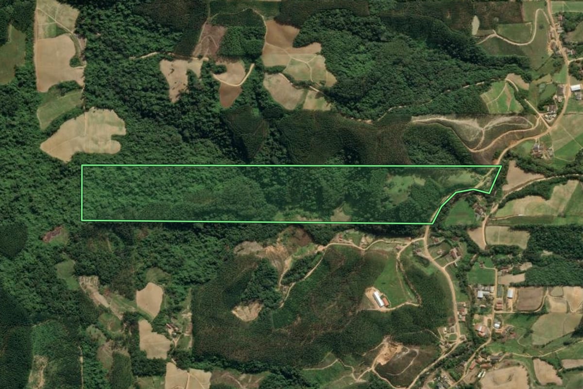 Imagem de satélite do imóvel rural em Ibirama (SC), com o contorno declarado no CAR desenhado por cima.
