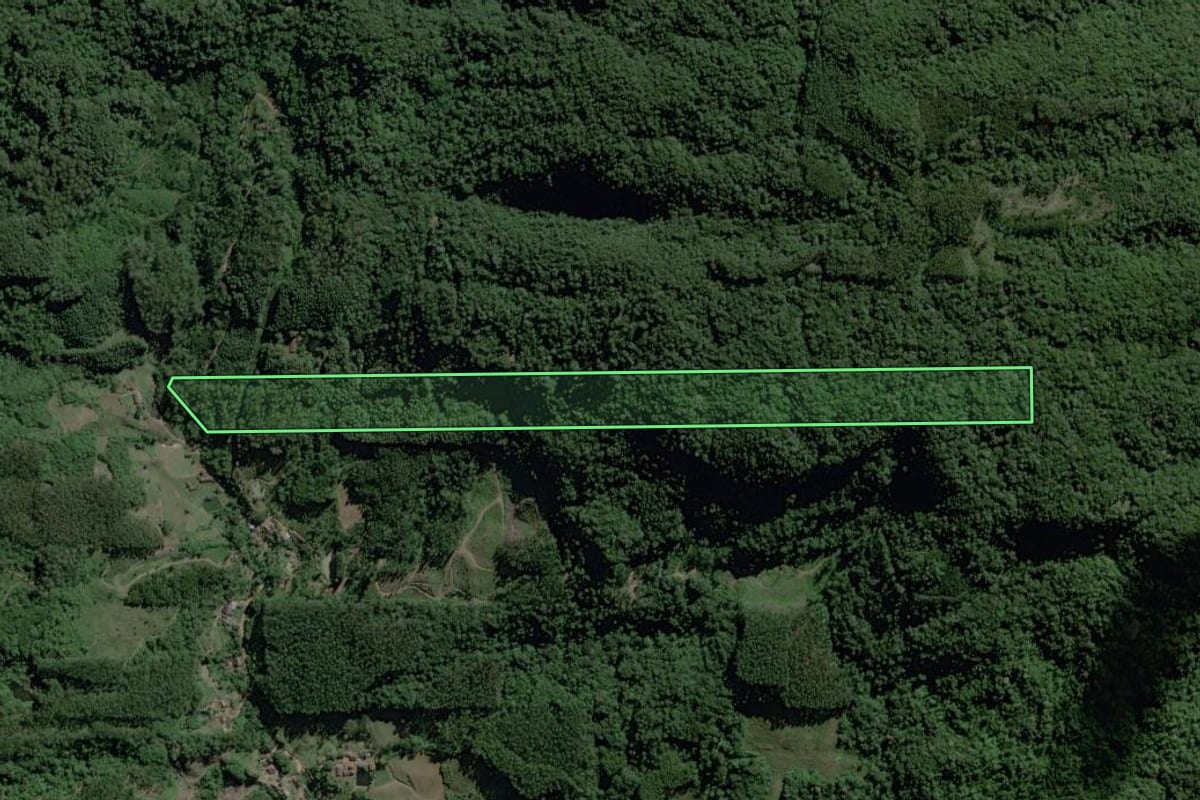 Imagem de satélite do imóvel rural em Ibirama (SC), com o contorno declarado no CAR desenhado por cima.