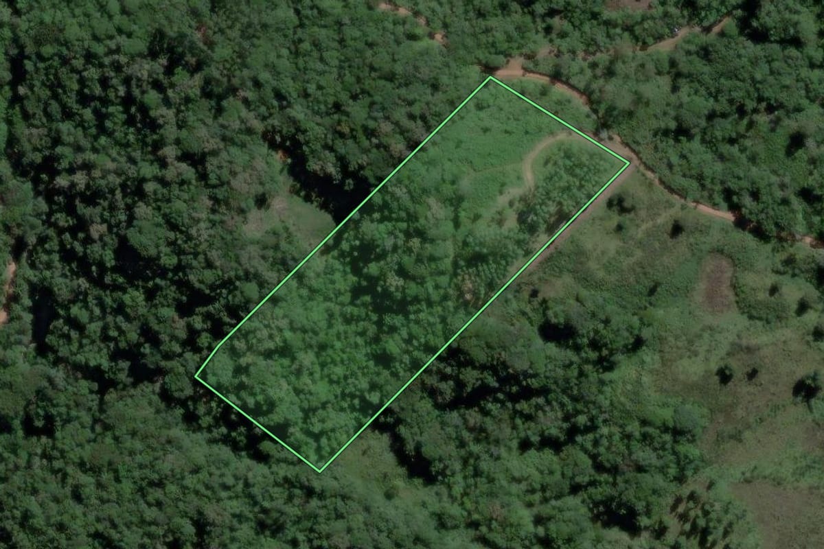 Imagem de satélite do imóvel rural em Ibirama (SC), com o contorno declarado no CAR desenhado por cima.