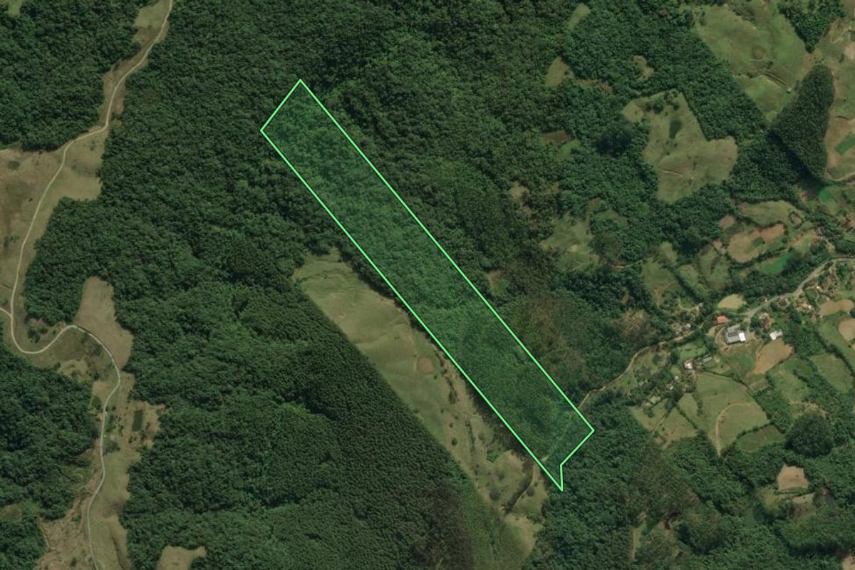 Imagem de satélite do imóvel rural em Ibirama (SC), com o contorno declarado no CAR desenhado por cima.