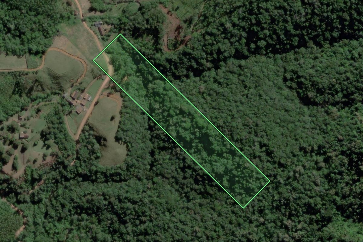 Imagem de satélite do imóvel rural em Ibirama (SC), com o contorno declarado no CAR desenhado por cima.
