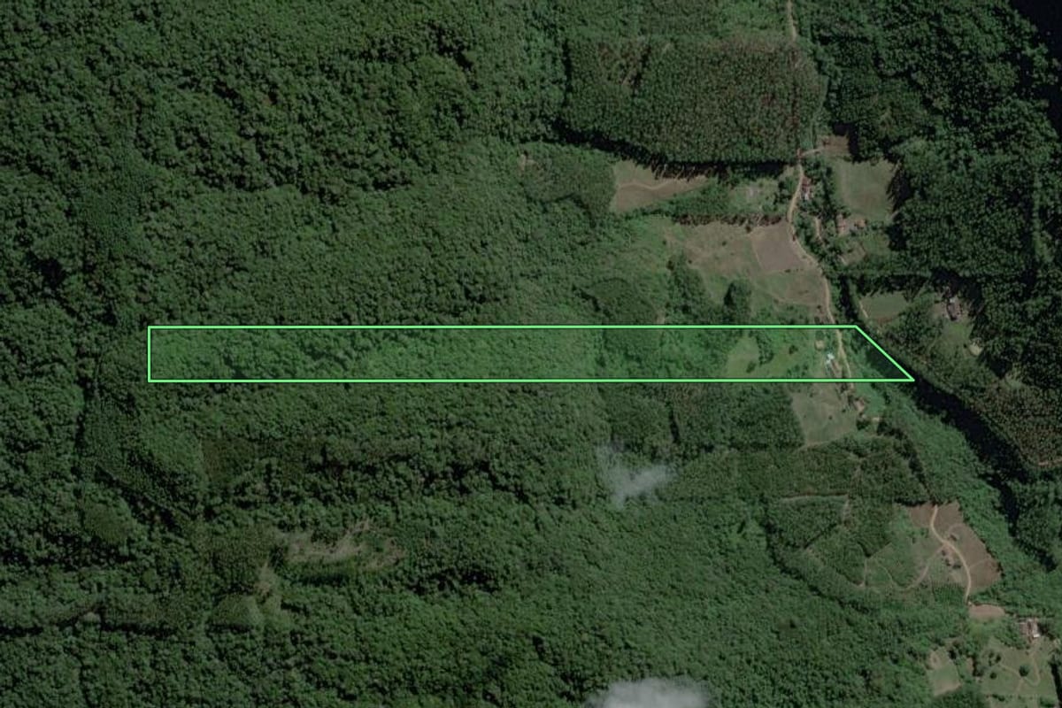 Imagem de satélite do imóvel rural em Ibirama (SC), com o contorno declarado no CAR desenhado por cima.
