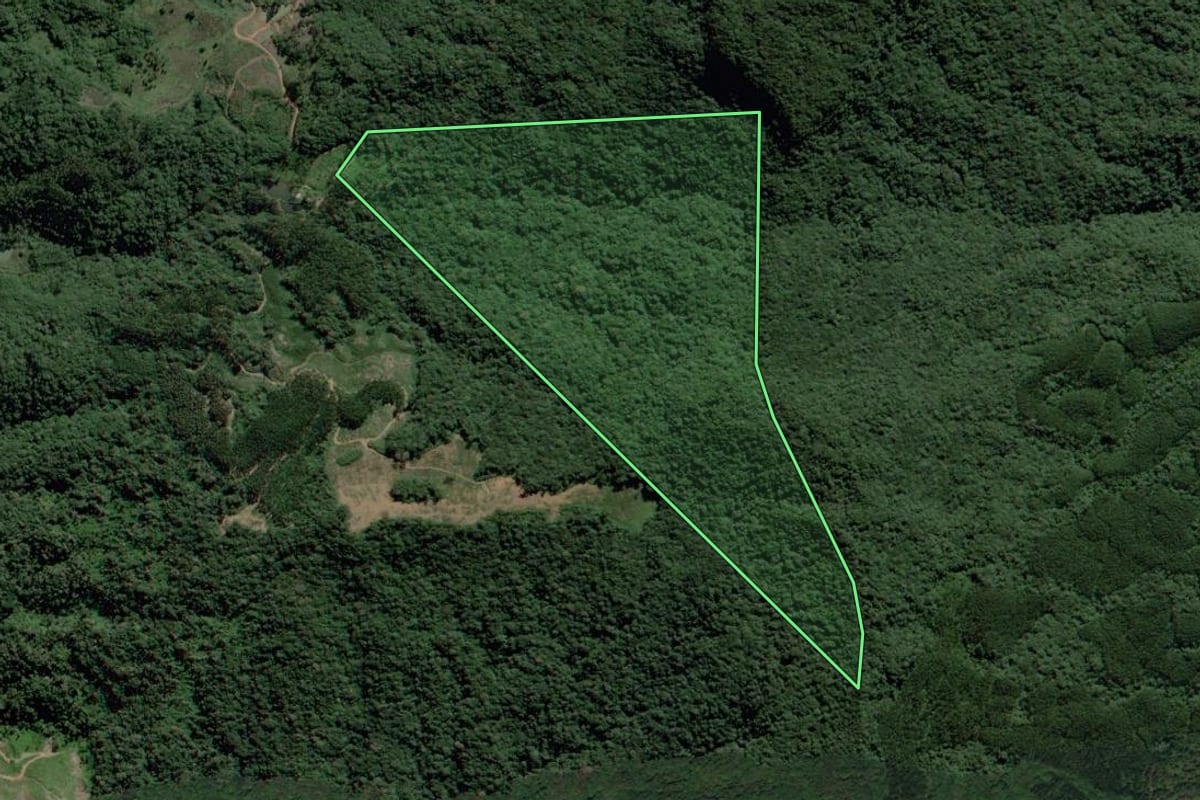 Imagem de satélite do imóvel rural em Ibirama (SC), com o contorno declarado no CAR desenhado por cima.